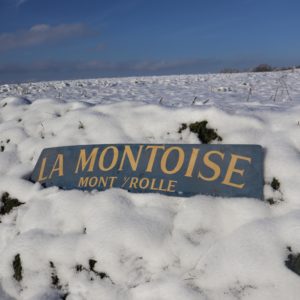 La Montoise Mont-sur-Rolle. Auguste Chevalley vigneron producteur négociant en vins. Enseigne publicitaire vintage.