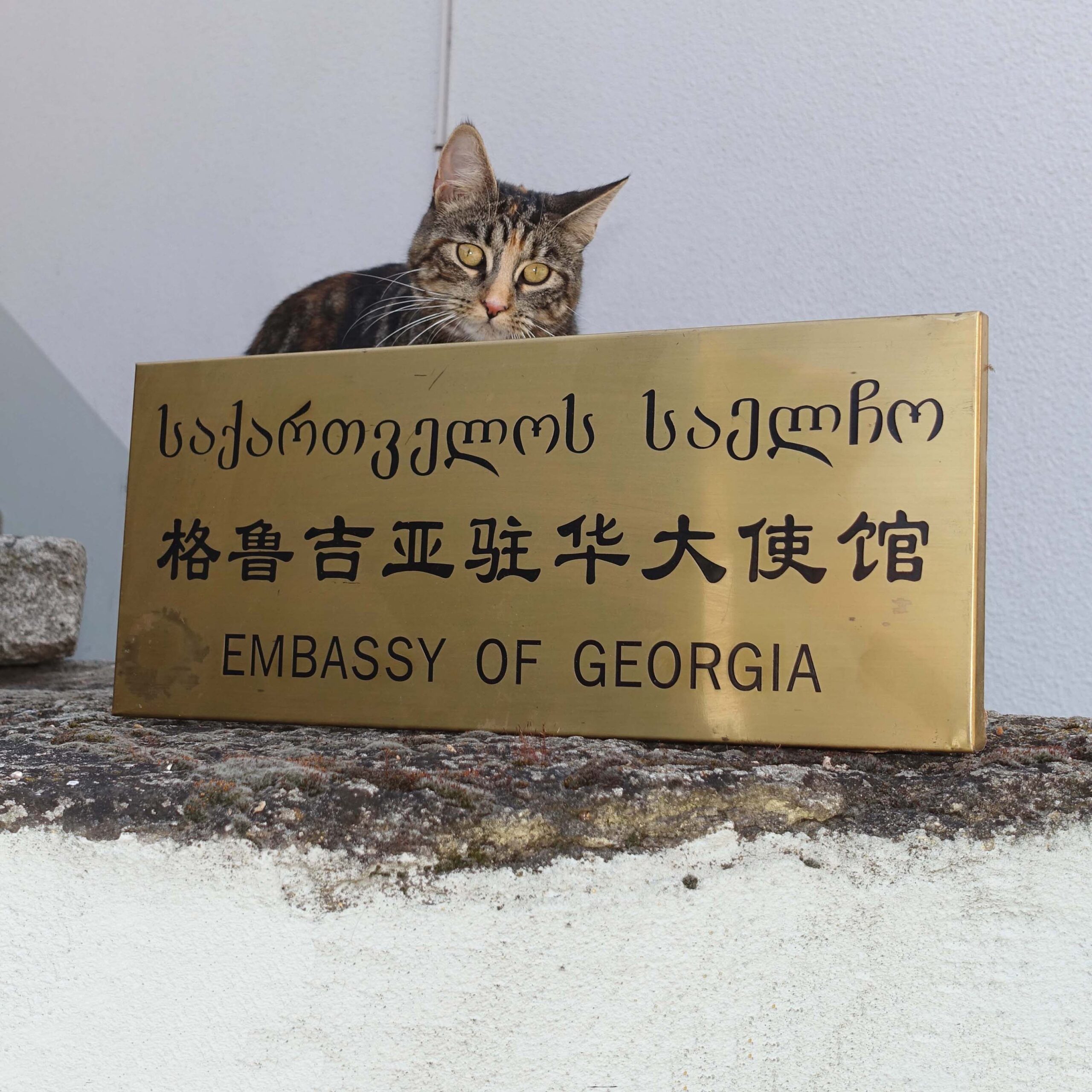 Ambassade de Géorgie en Chine