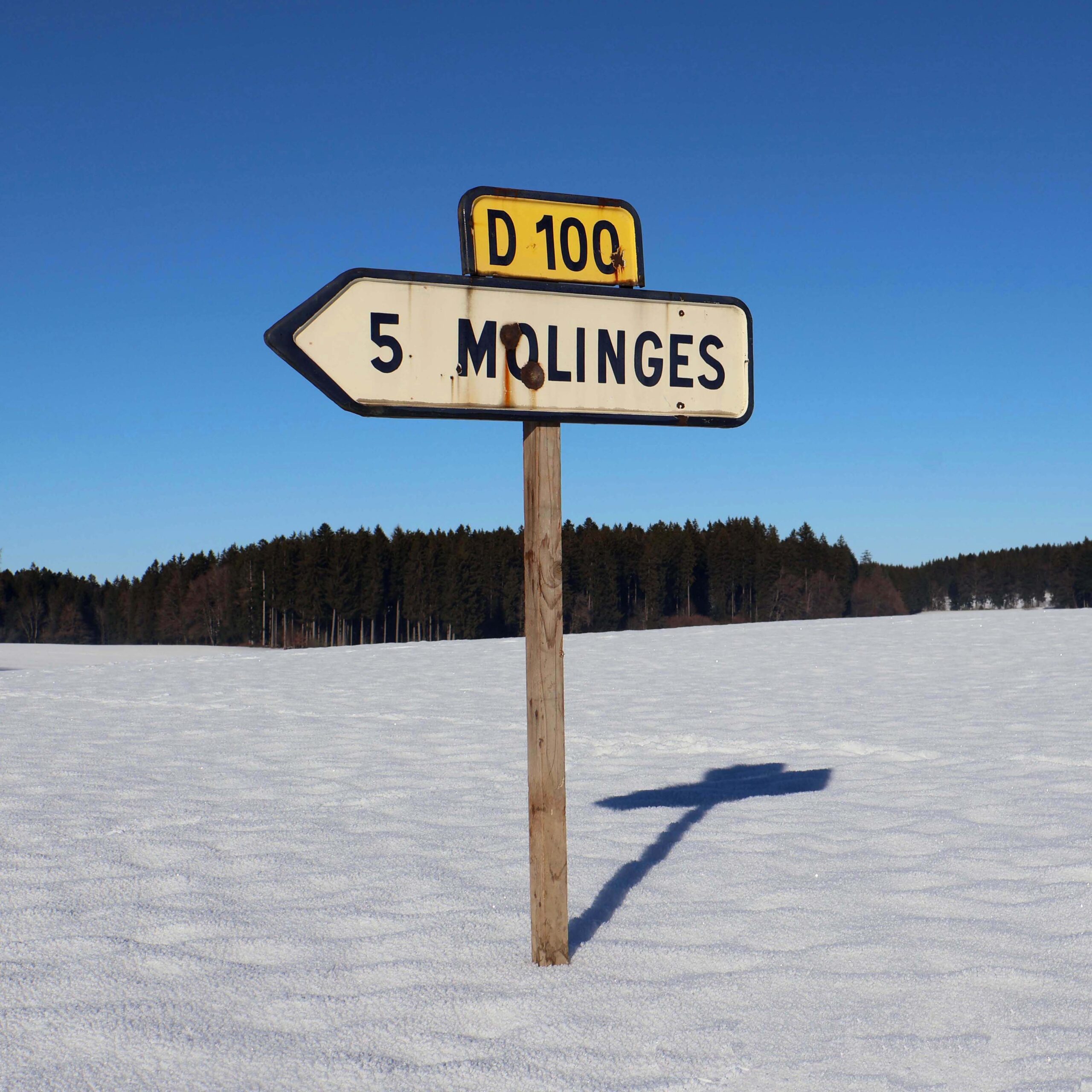 Molinges Jura panneau