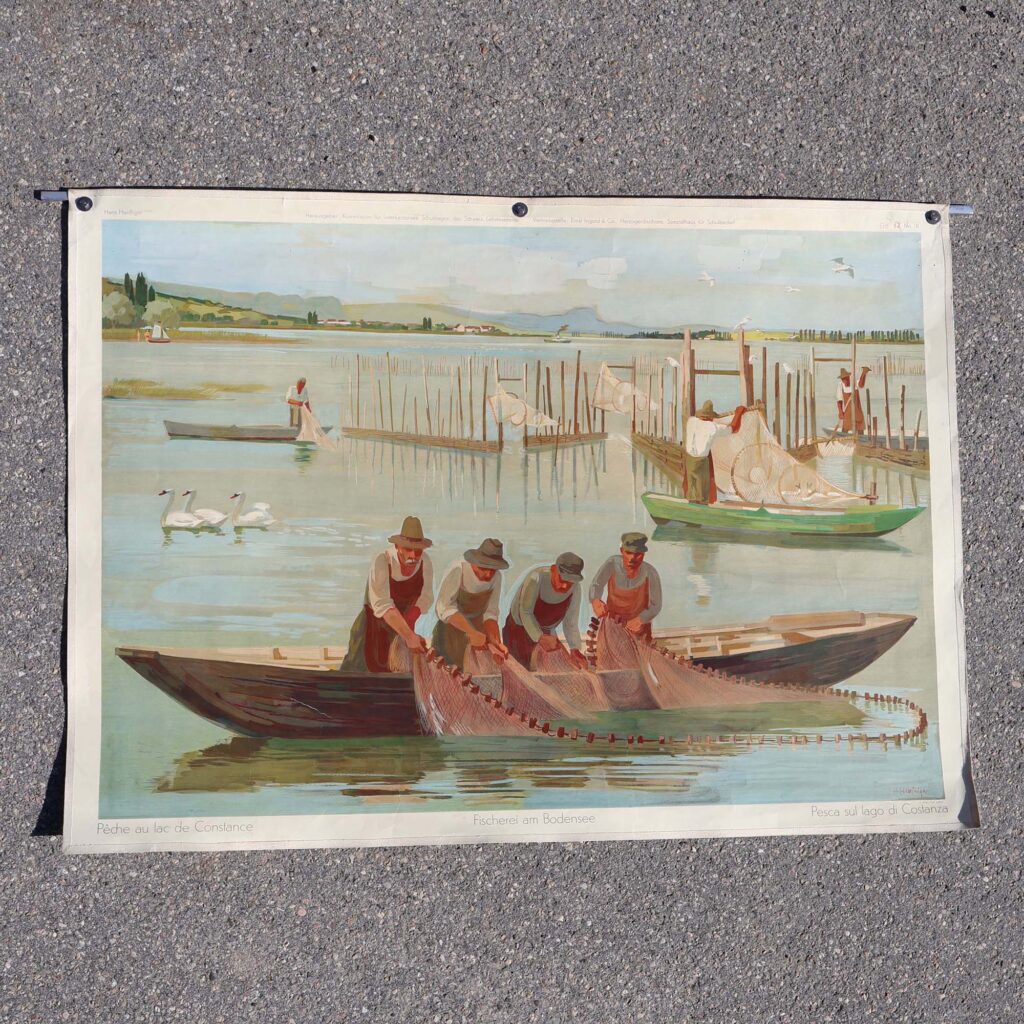 Schulwandbild 1938 Haefliger. Planche pédagogique murale