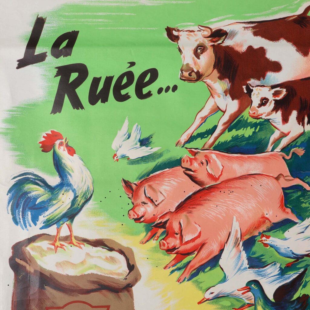 Affiche Provimi 50s aliment bétail. Affiche publicitaire vintage